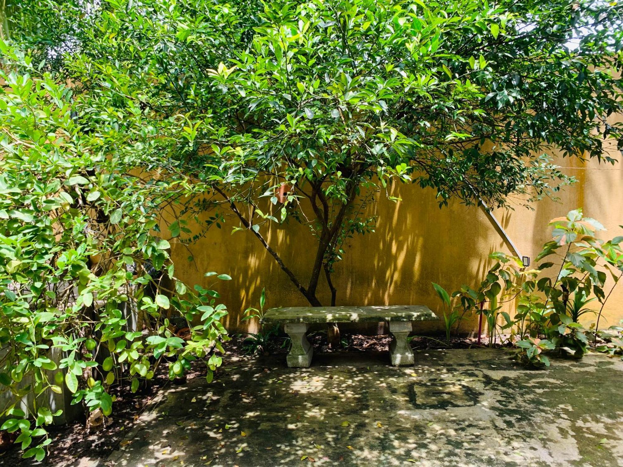 The Hostel 米瑞莎 外观 照片